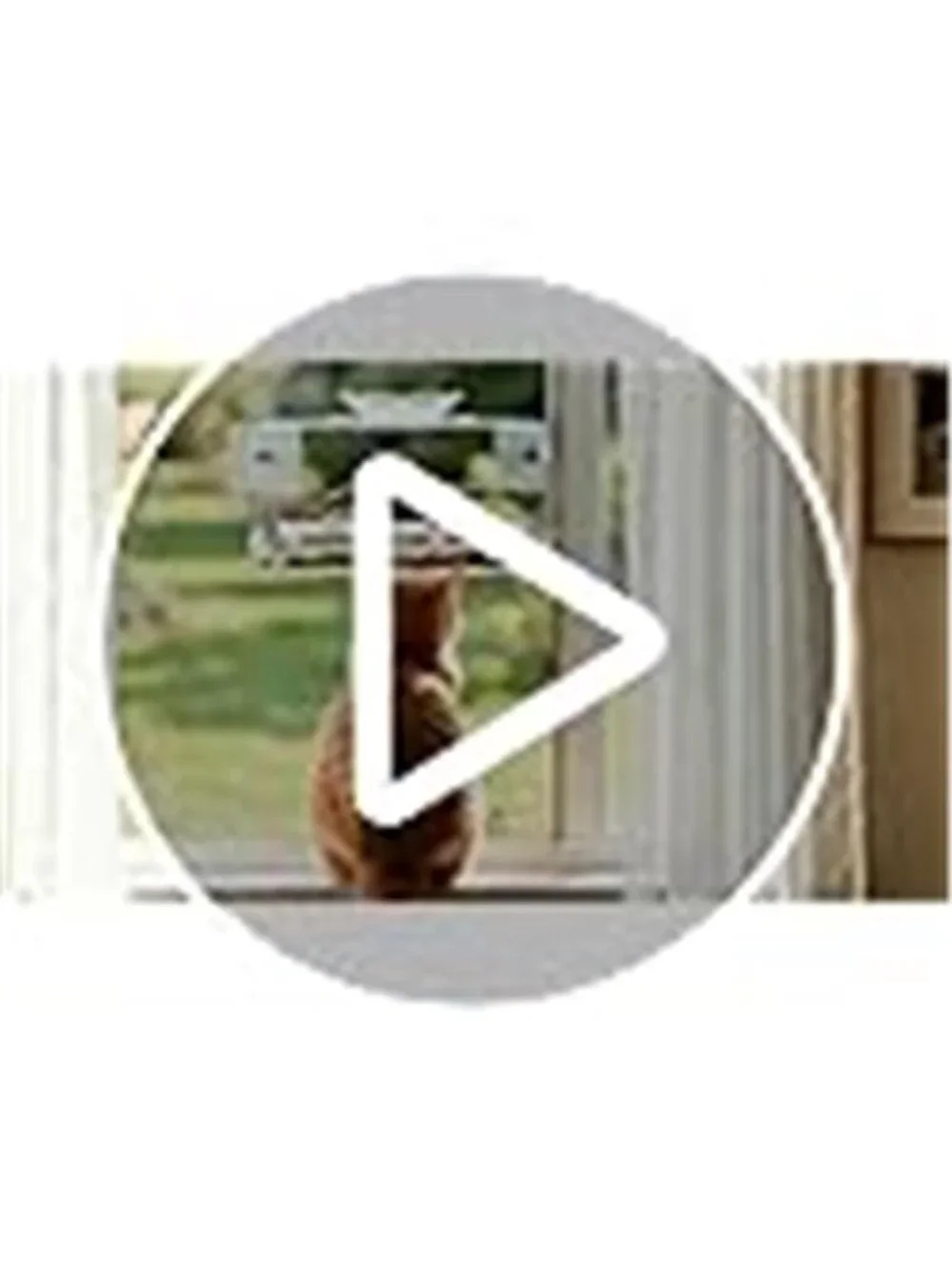 New Window Bird Feeder with Non-Marking Self-Adhesive Hooks